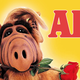 ALF the alien holds a rose in his teeth in front of a yellow background.